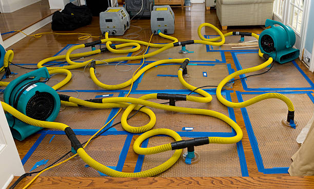 Professional Emergency Water Removal technician working in West Point, NY